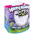 Игрушка Hatchimals - дракоша - интерактивный питомец, вылупляющийся из яйца